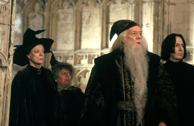 Profesores de hogwarts